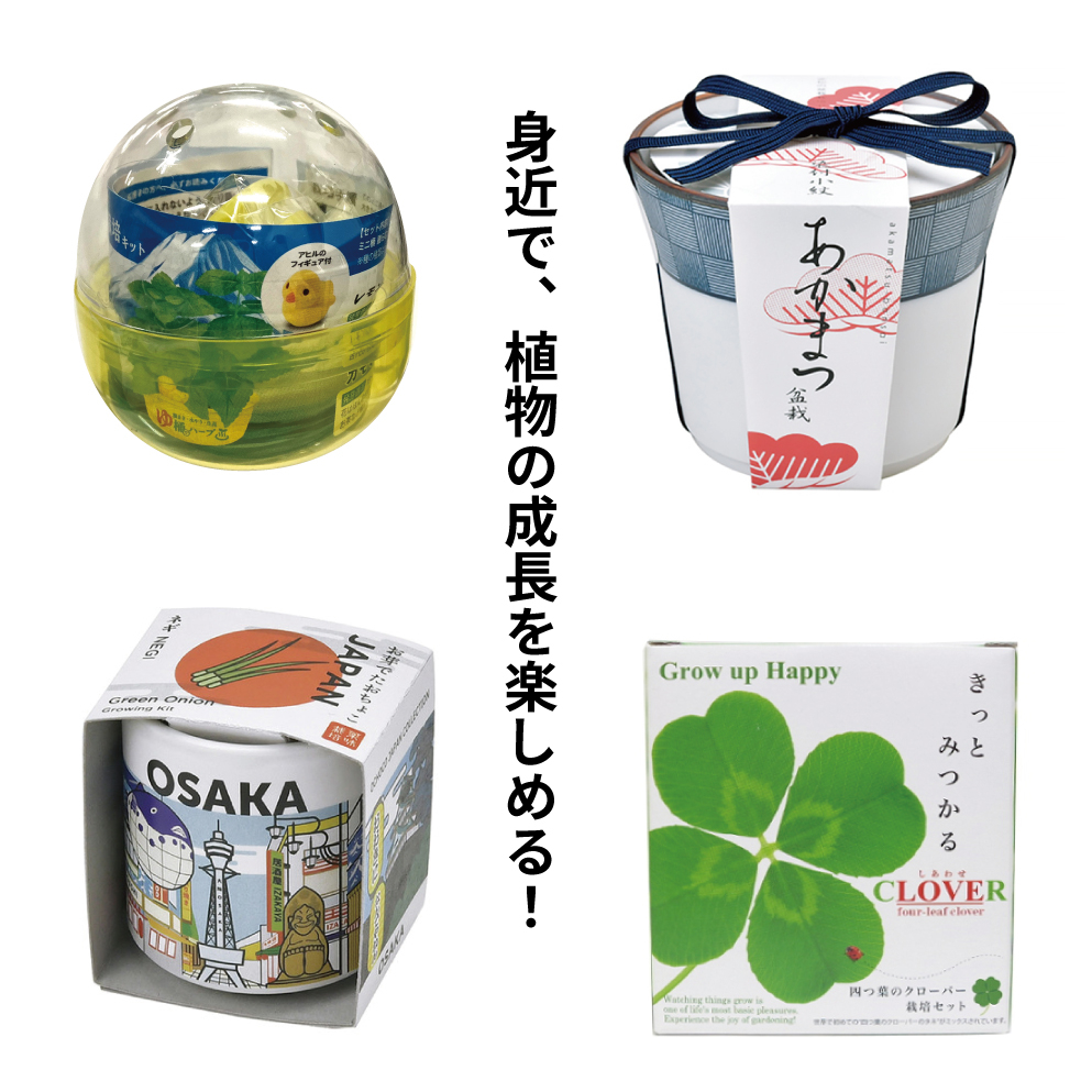 【あべのキューズモール店】夏が過ぎれば秋まきをしませんか!